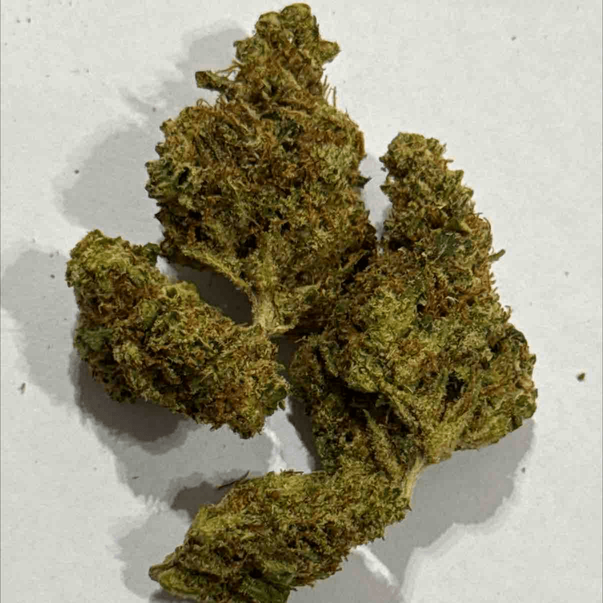 Neville Haze (Original Clone)